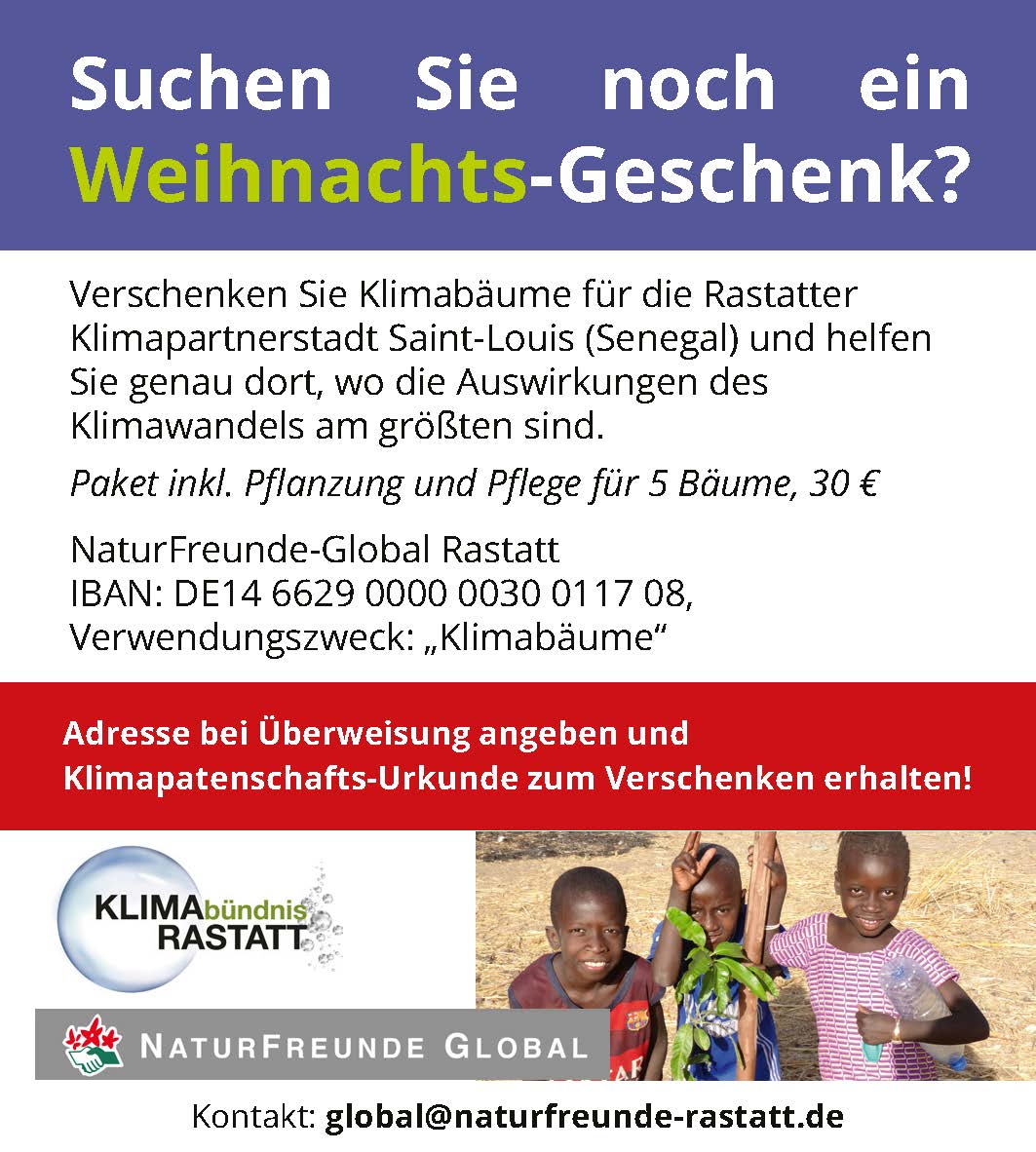 Saint louis AnzeigeBaumFINAL